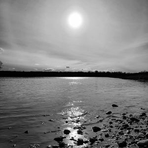 Meet your Posher, Larissa